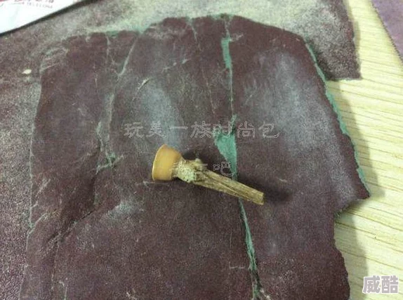 噜噜噜视频在线观看内容是否涉及未成年人以及平台监管力度
